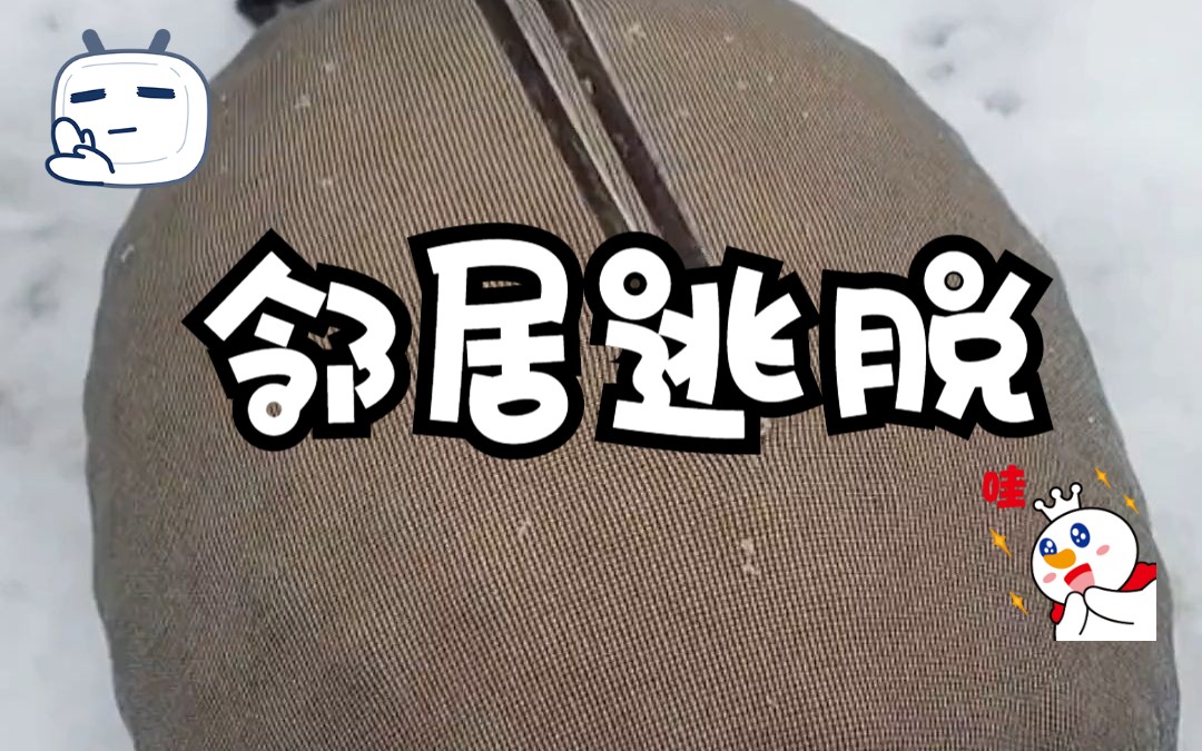 【邻居逃脱】悬疑小说推荐哔哩哔哩bilibili