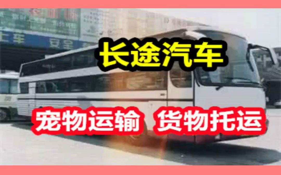 路桥到新化的客车班车15858669968路桥到新化客车汽车<方便快捷哔哩哔哩bilibili