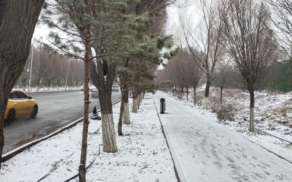 乌鲁木齐街头雪景图片