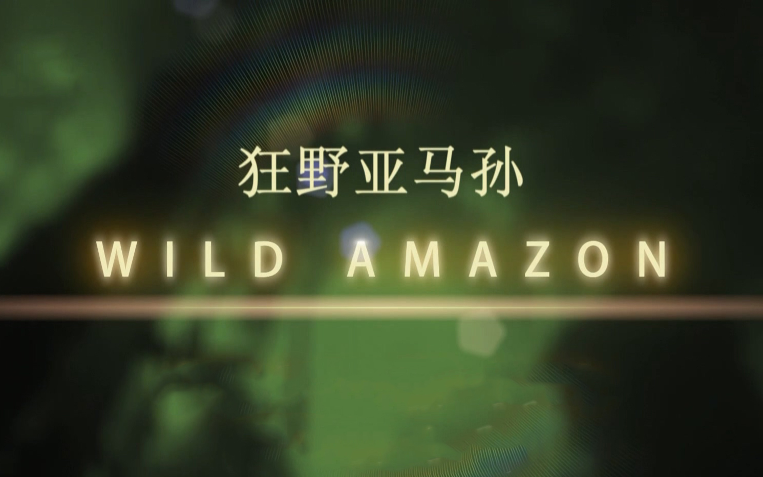 [图]野性亚马逊 1080P 全2集 中字 Wild Amazon