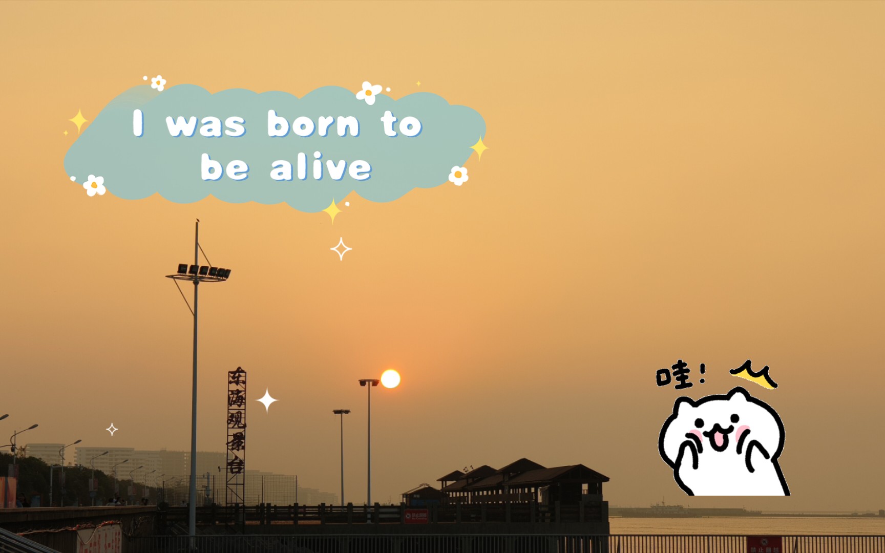 [图]【上海日出】【I was born to be alive】