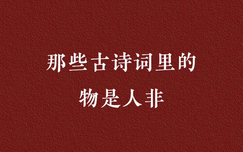 那些诗词里的“物是人非”哔哩哔哩bilibili