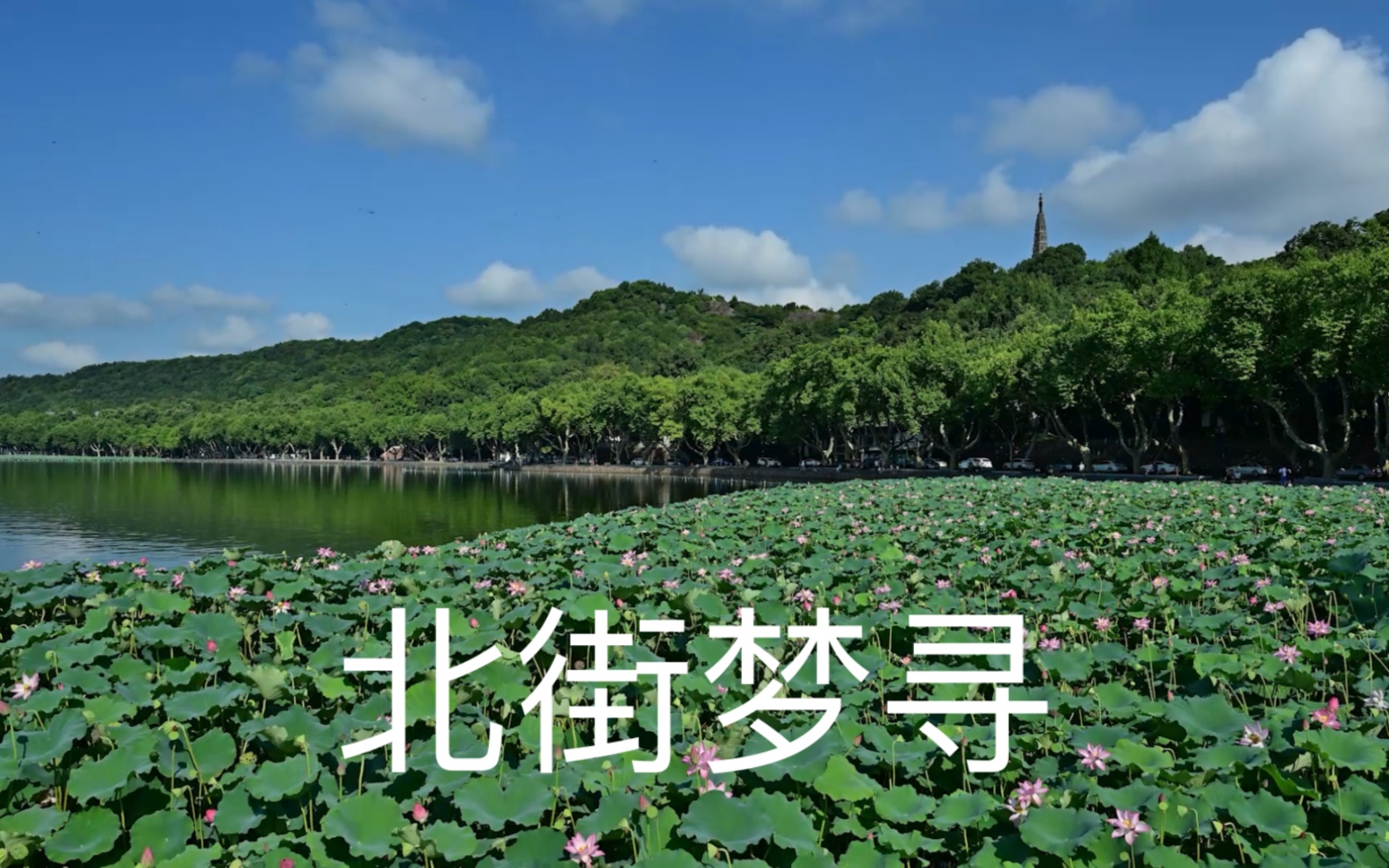 北街梦寻,西湖新新十景之一.