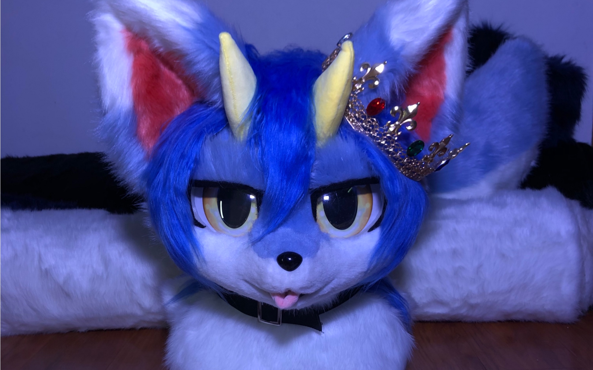 【兽装fursuit】要怎样才能吸引你的目光呢