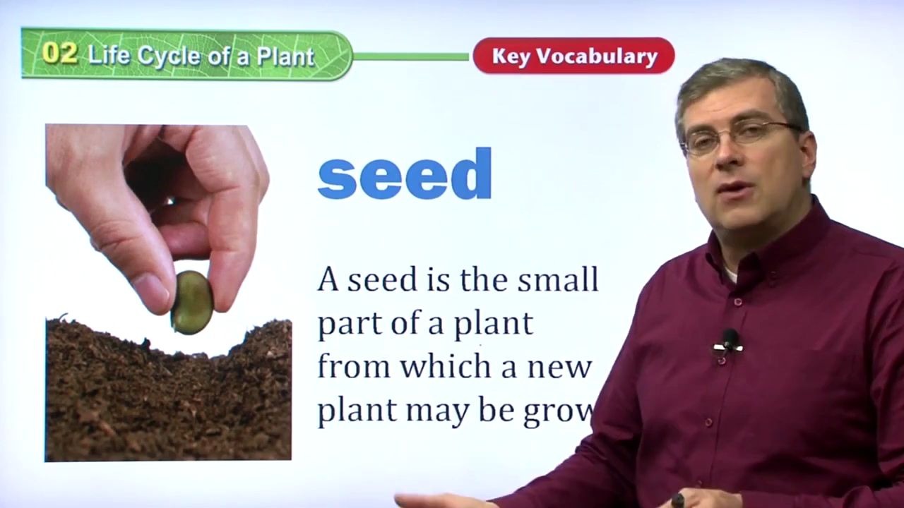 [图]S102生命循环Life_Cycle_of_a_Plant