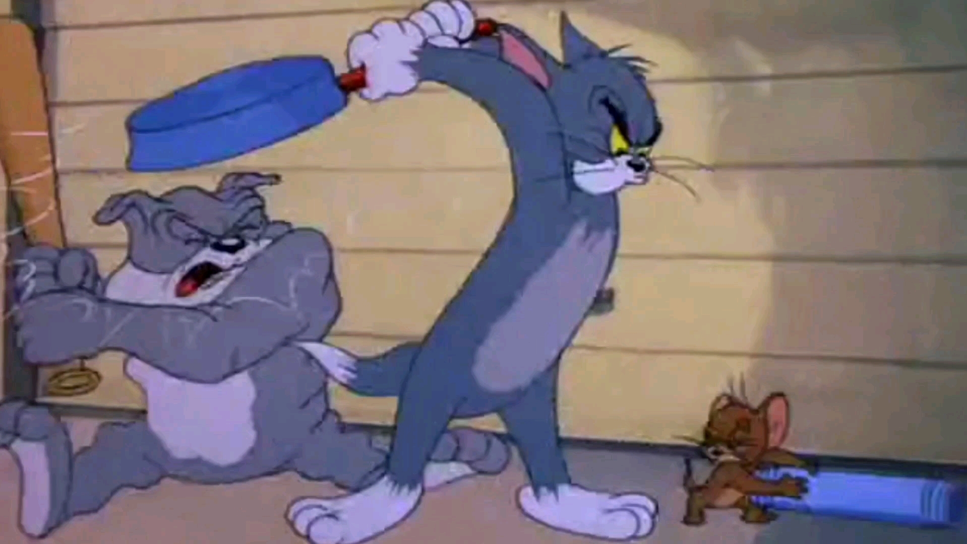 猫和老鼠:再砸斯派克(连续用平底锅砸斯派克一个小时)