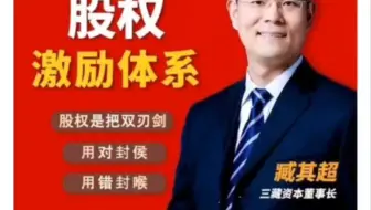 臧其超：股权激励体系（爆款视频课）