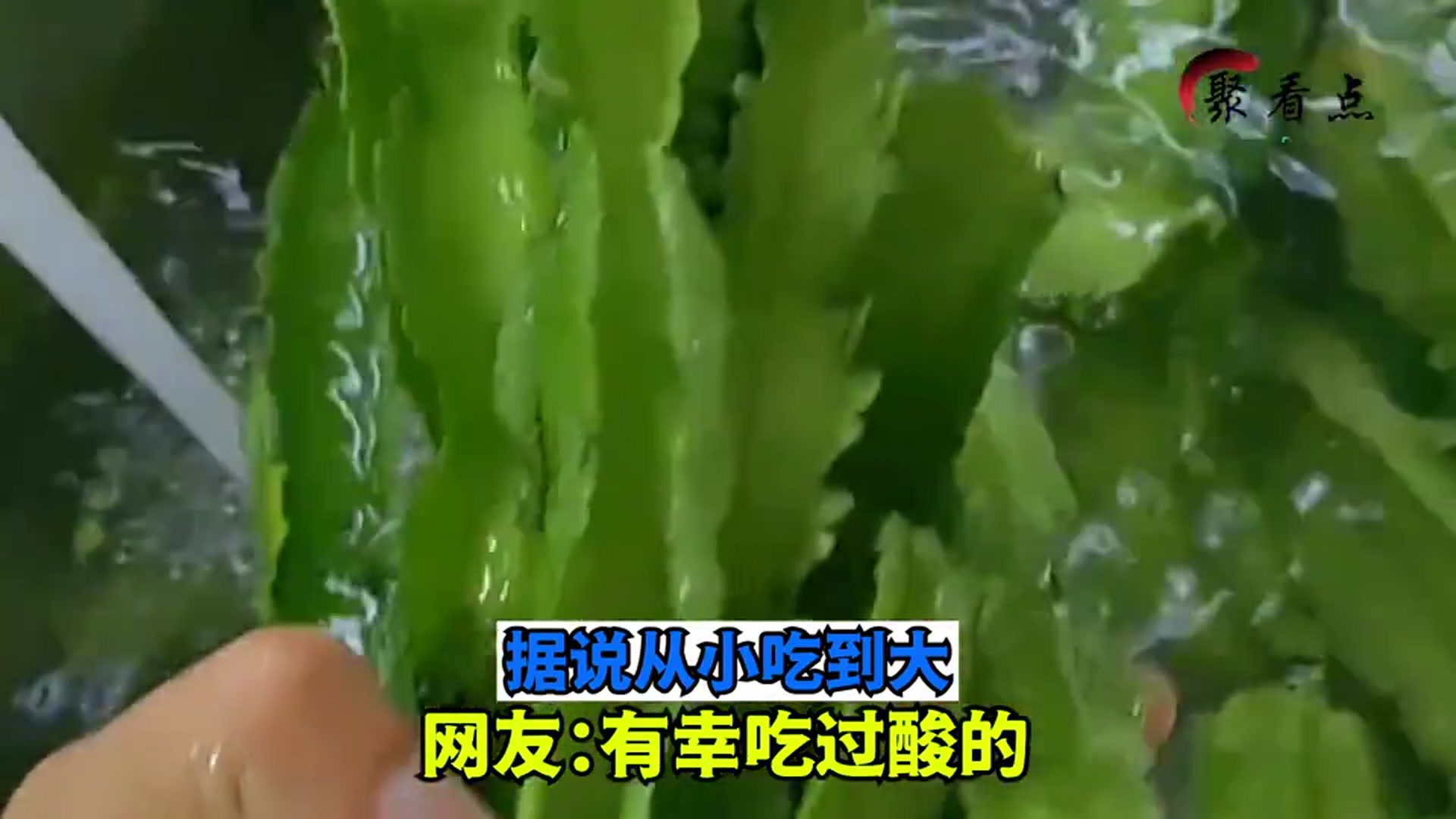 四棱豆腌酸图片