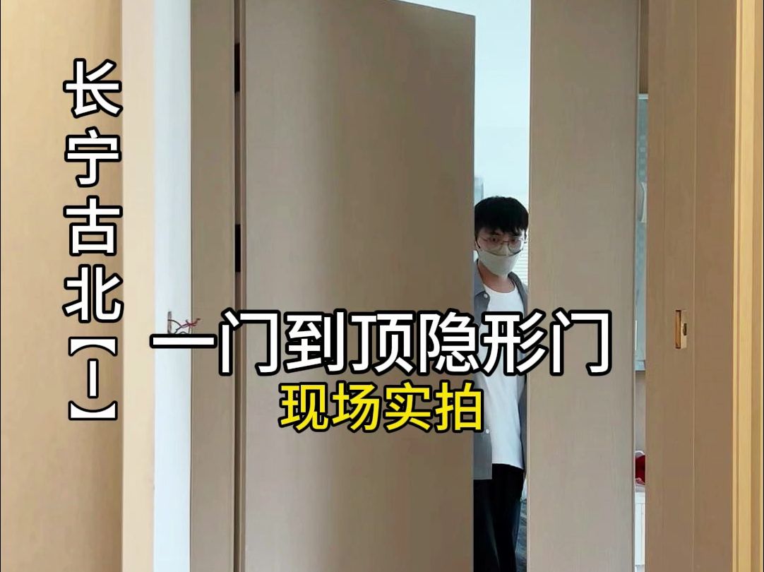 一门到顶的平板隐形门