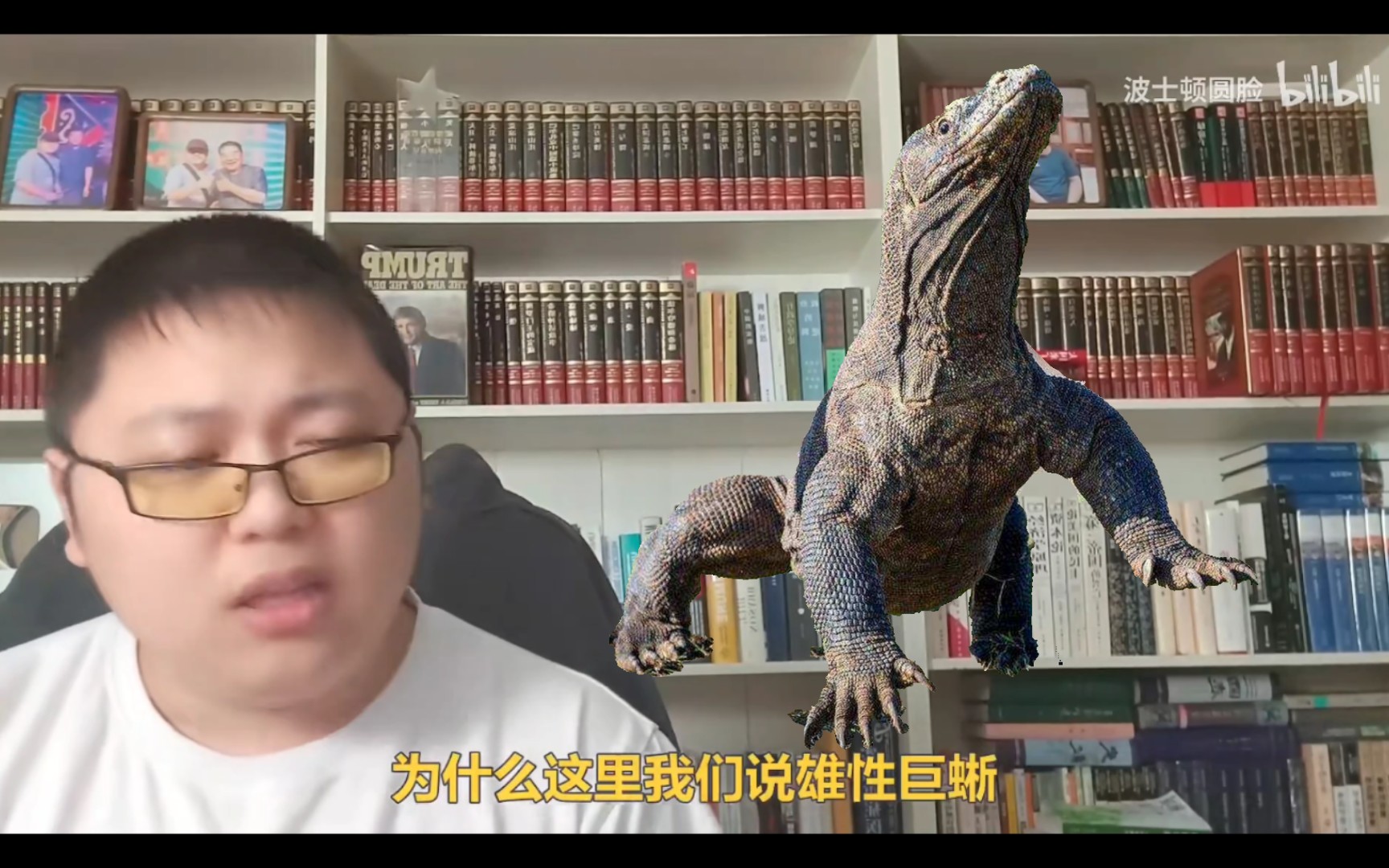 波士顿圆脸谈巨蜥的下面那个(懂的都懂)在印度的价值和作用,波士顿