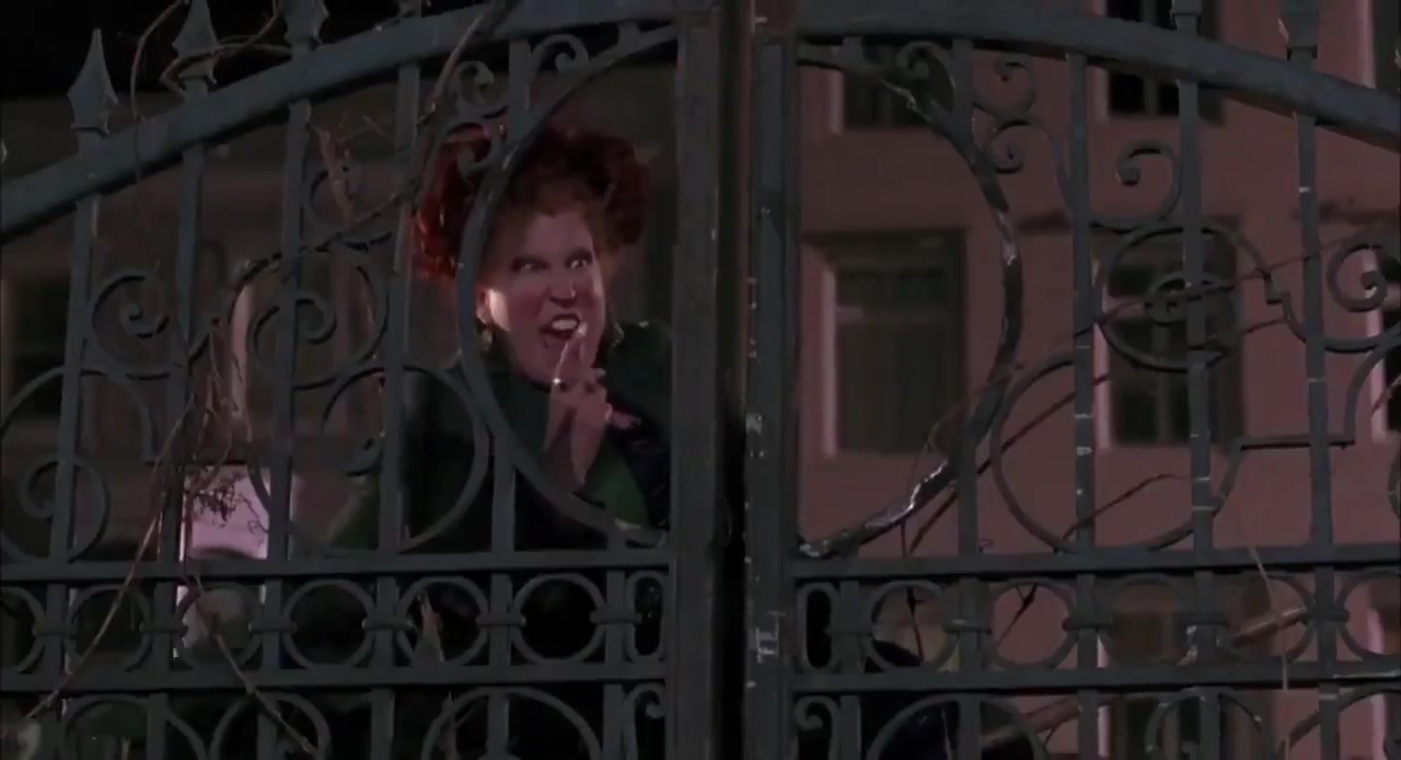 [图]Hocus Pocus Best scene Bette Midler Omri Katz Thora Birch Vinessa Shaw Doug Jone