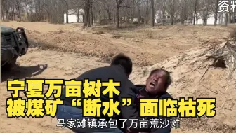 宁夏万亩树木被煤矿“断水”面临枯死，林场主崩溃跪地，