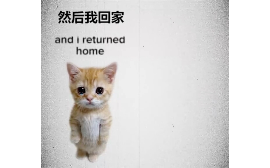 [图]沙雕可颂猫原版