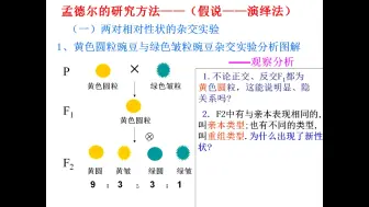 Tải video: 孟德尔的豌豆杂交实验（二）第一课时（bilibili）