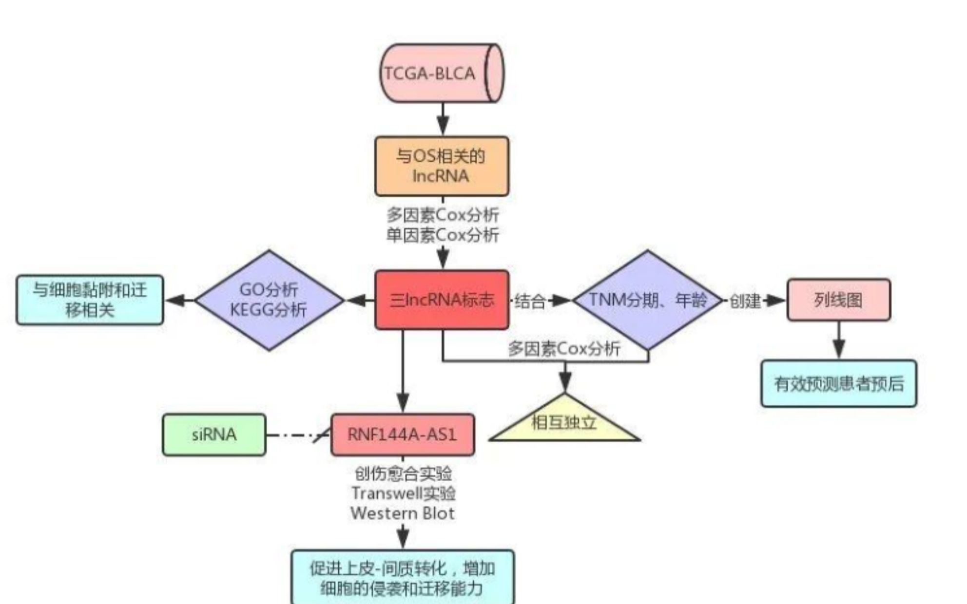 生物信息,生信文章,简单粗暴复现5分文章生信内容,非编码RNA结合临床预后生信分析思路,列线图差异分析ROC模型构建TCGA哔哩哔哩bilibili