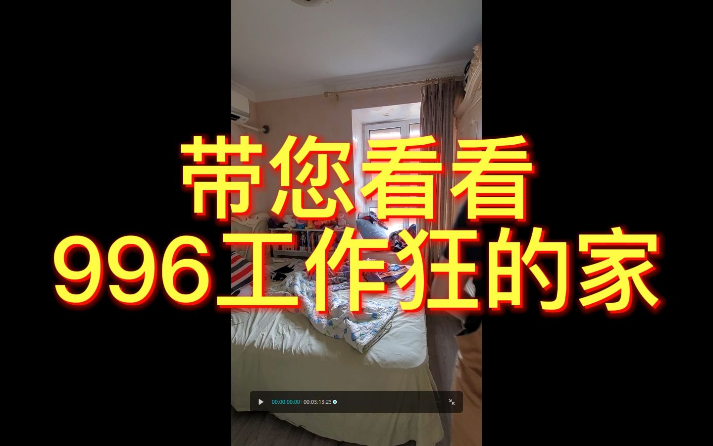 【久心谷】工作太忙没时间打扫卫生,就找全屋卫生管家之久心谷管家哔哩哔哩bilibili