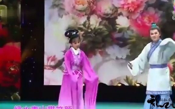 中国传统文化黄梅戏哔哩哔哩bilibili