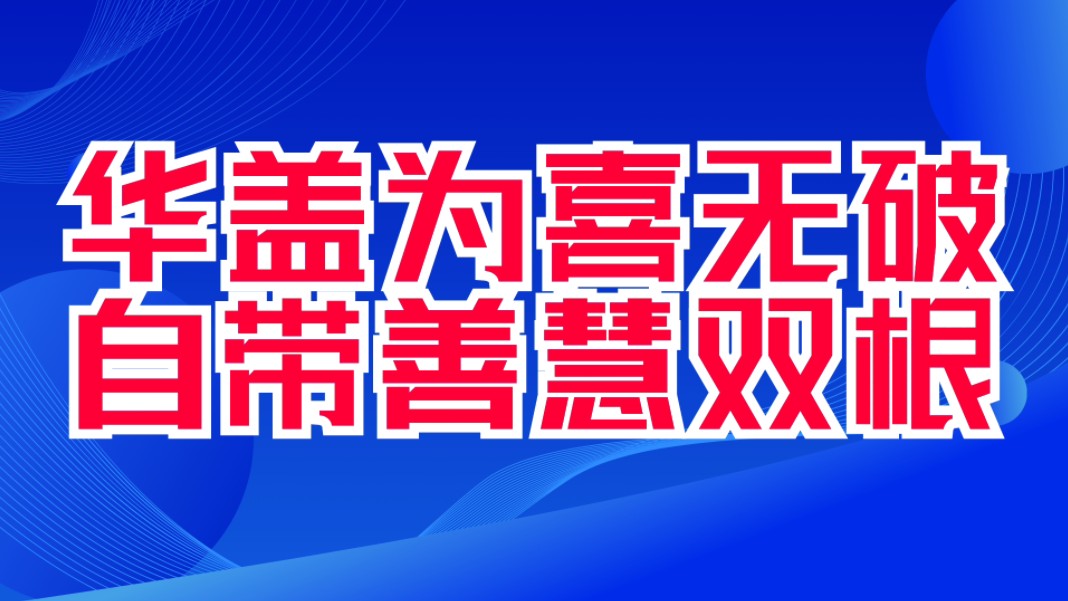 华盖为喜无破,自带善慧双根.善慧咨询论华盖哔哩哔哩bilibili