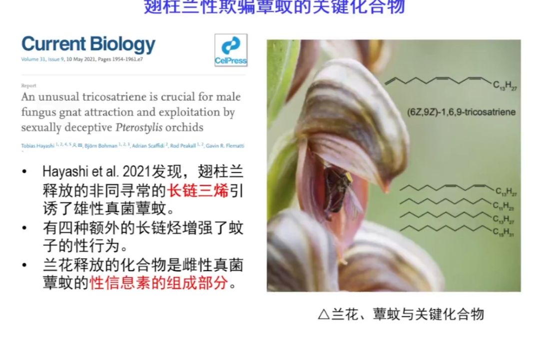 20220109华中师范大学黄双全植物与其协同演化生物互作的分子机制研究进展哔哩哔哩bilibili