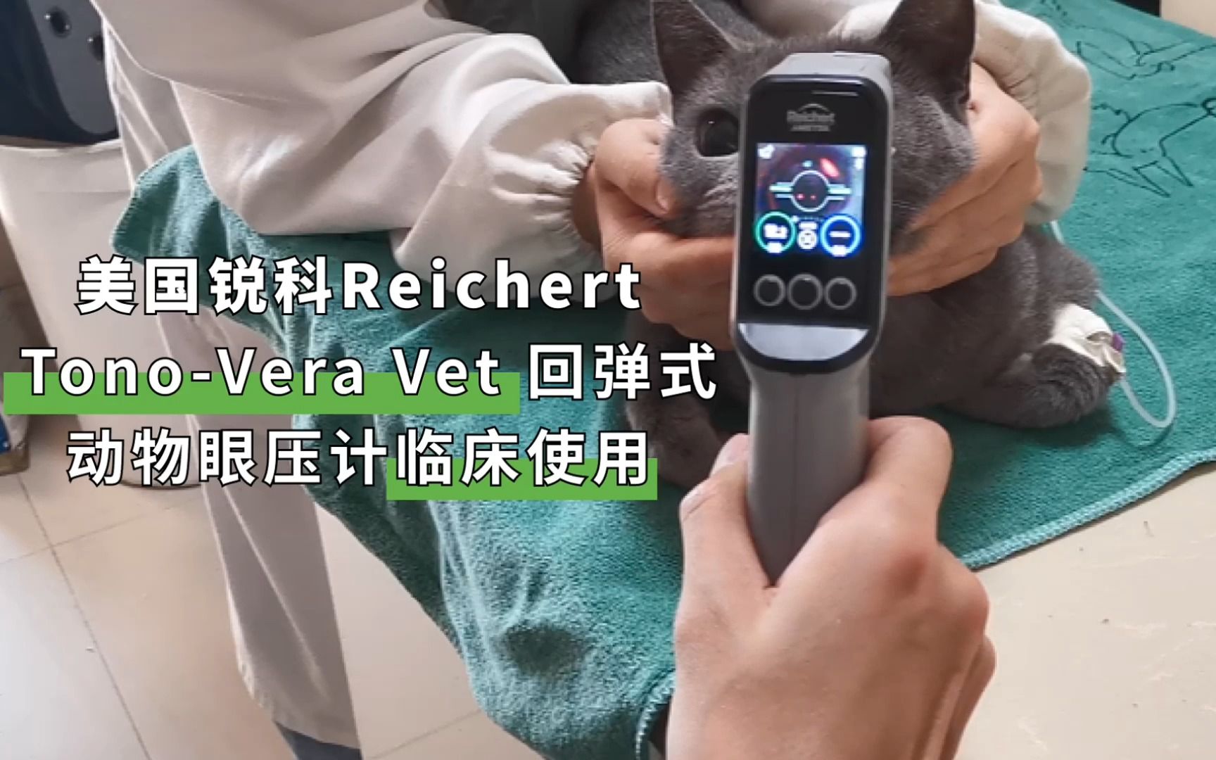 【眼压计】美国回弹式动物眼压计临床使用 品牌Reichert TonoVera Vet哔哩哔哩bilibili