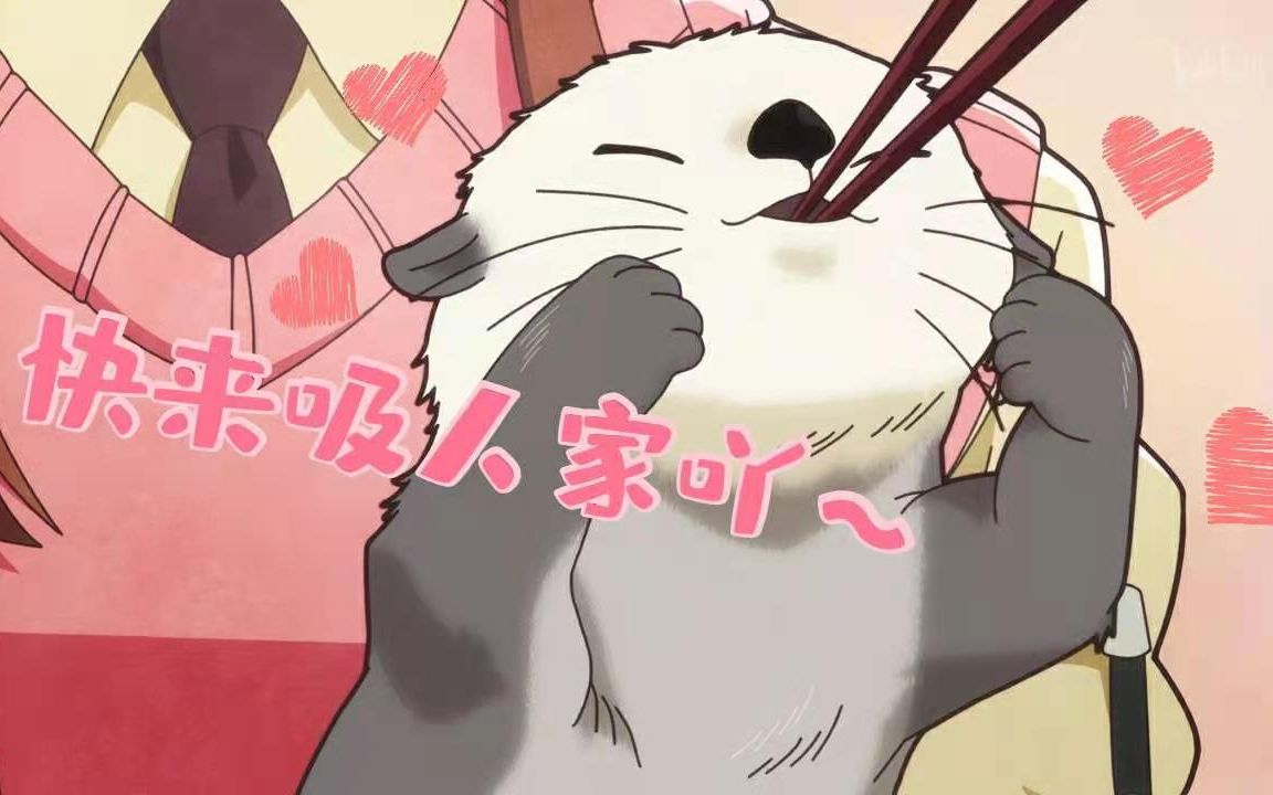 含小科普快来吸可可爱爱还有聪明脑袋瓜的小海獭