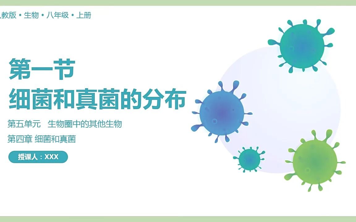 人教版八年级生物上册细菌和真菌的分布课件ppt模板