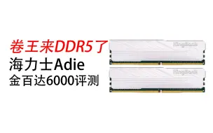 Download Video: 卷王来DDR5了 海力士Adie金百达6000评测