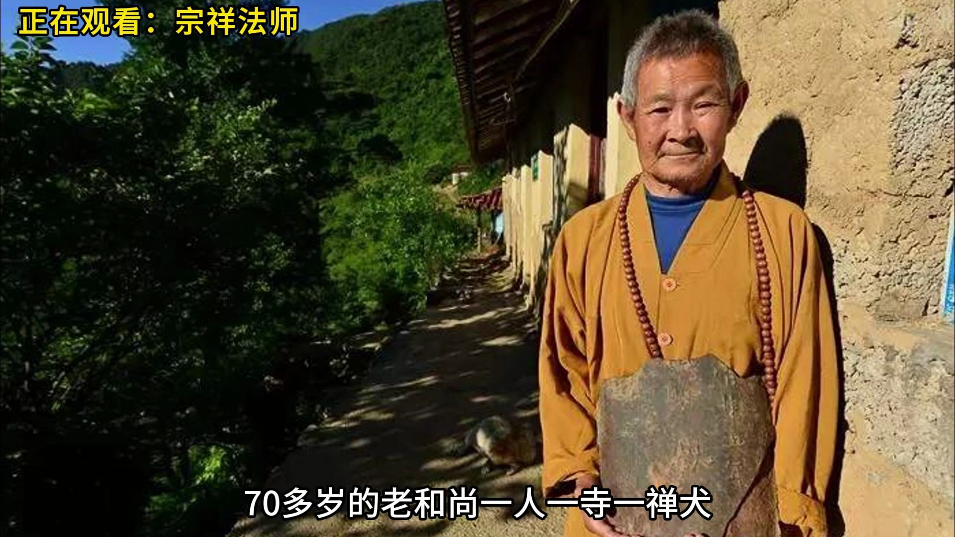 70多岁的老和尚一人一寺一禅犬,独守着千年古寺哔哩哔哩bilibili