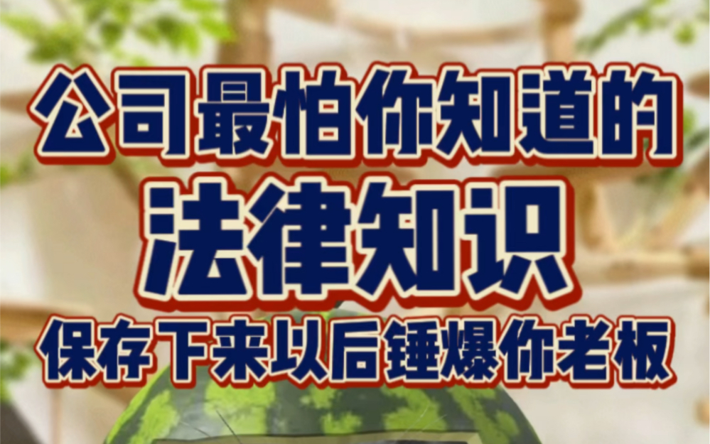 公司最怕你知道的法律知识 学会了以后锤爆你老板哔哩哔哩bilibili