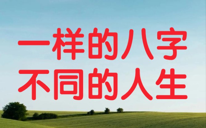 八字算命双胞胎八字,相同八字,不同人生.,哔哩哔哩bilibili