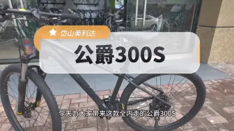 Download Video: 新款公爵300S，升级不加价