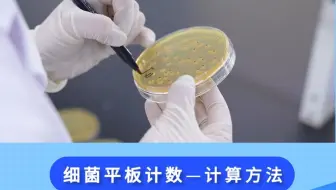 细菌平板计数—计算方法