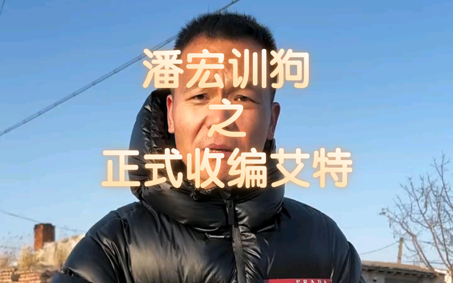 【潘宏】“安排了40顿火龙果+12套心肺复苏以后的艾特”哔哩哔哩bilibili