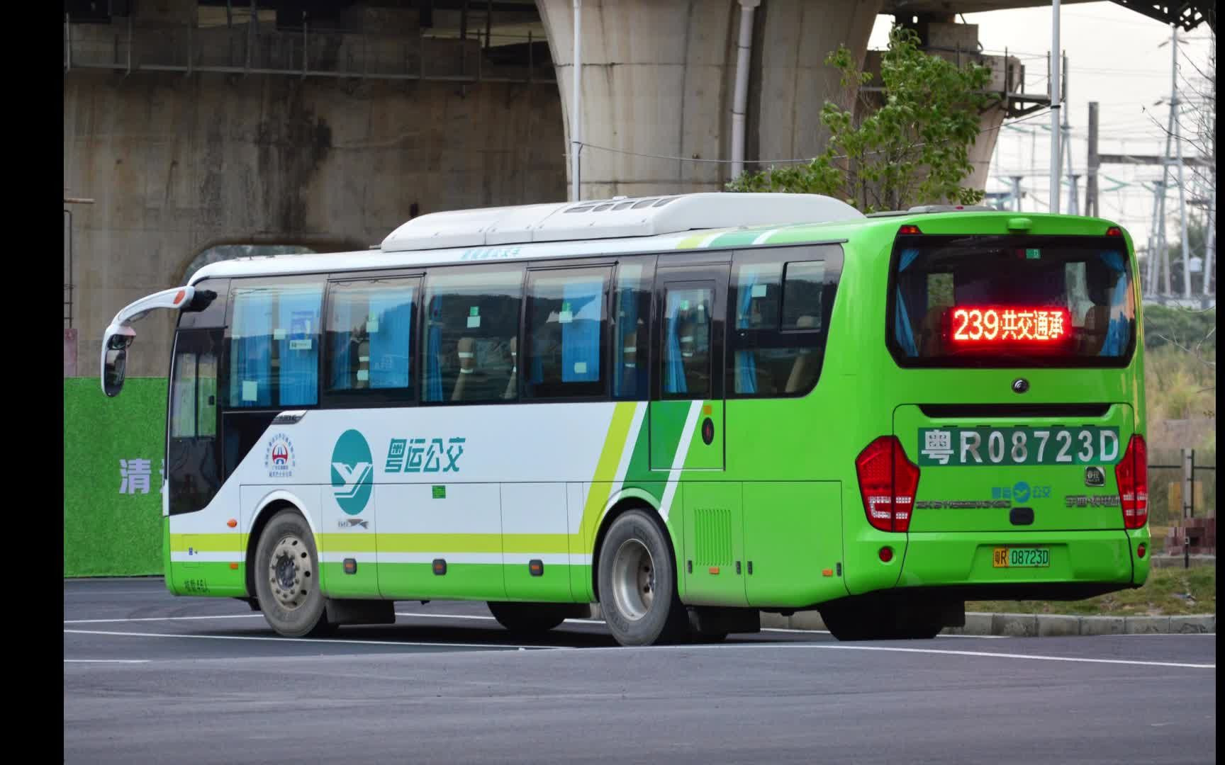 公交pov9 清远公交239路(省职教城东站→广清城轨清城站)全程 前方