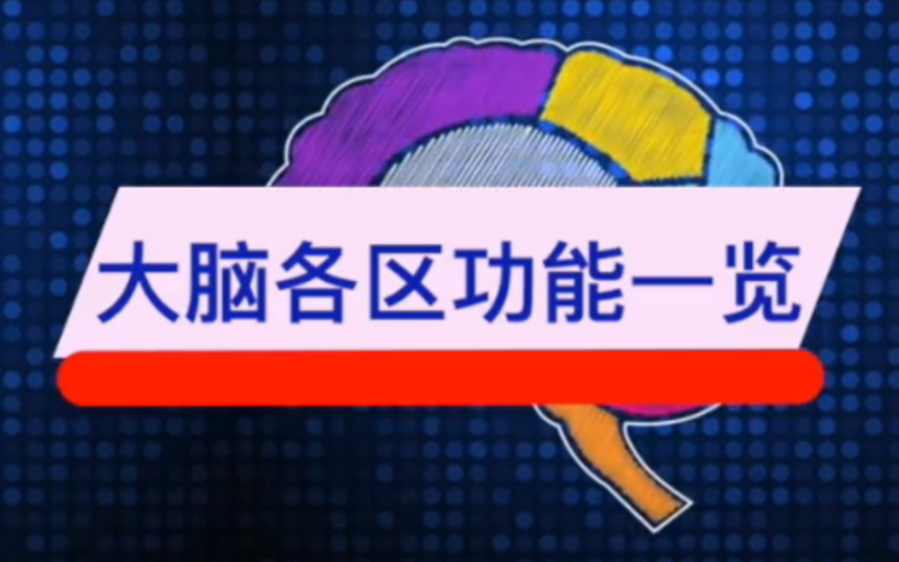 3d視頻演示: 一個視頻學習下大腦各功能區所負責的功能,注意視頻中