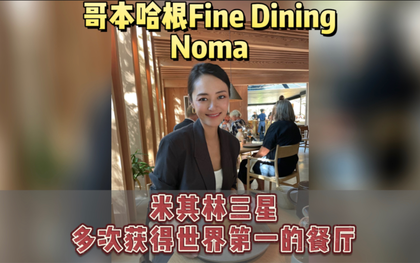 哥本哈根Noma体验|多次世界排名第一餐厅哔哩哔哩bilibili