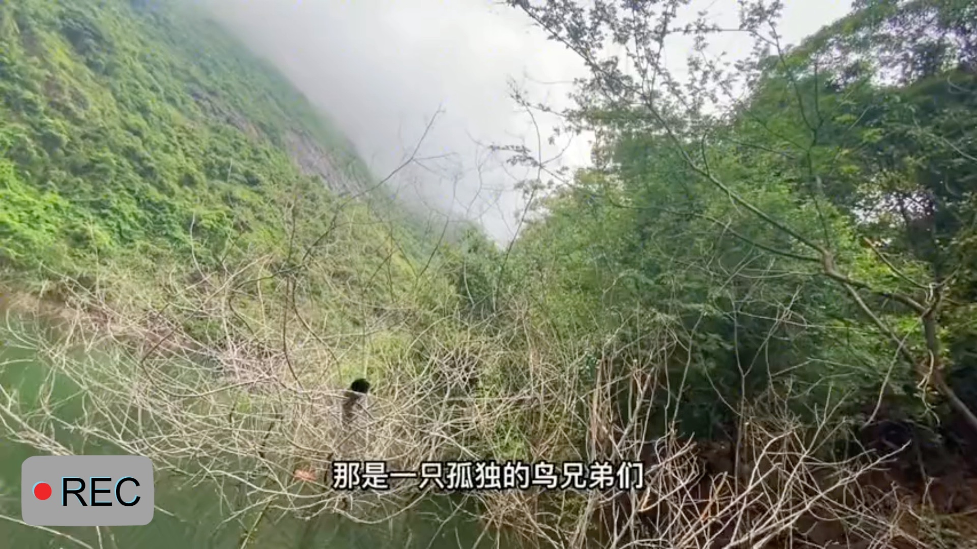 [图]雨一直下，感觉要下到死的样子，难受呀