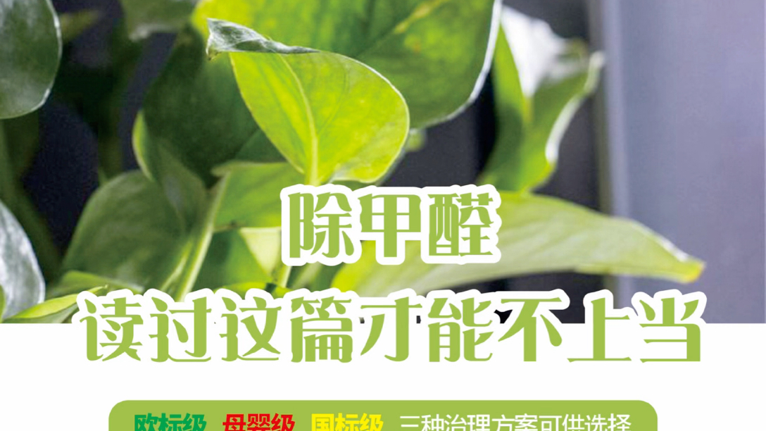 通化万达3楼马博士儿童游泳中心甲醛异味治理进行中