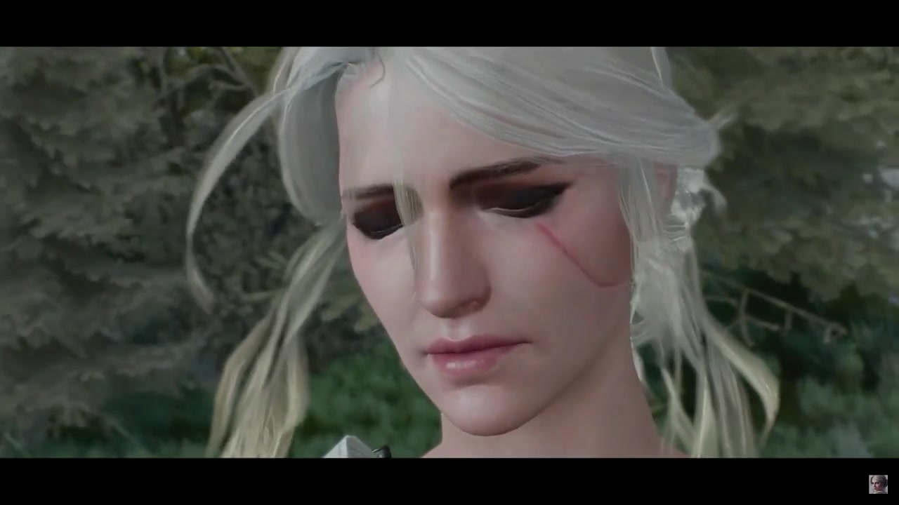 巫师3最后的狩魔猎人大师