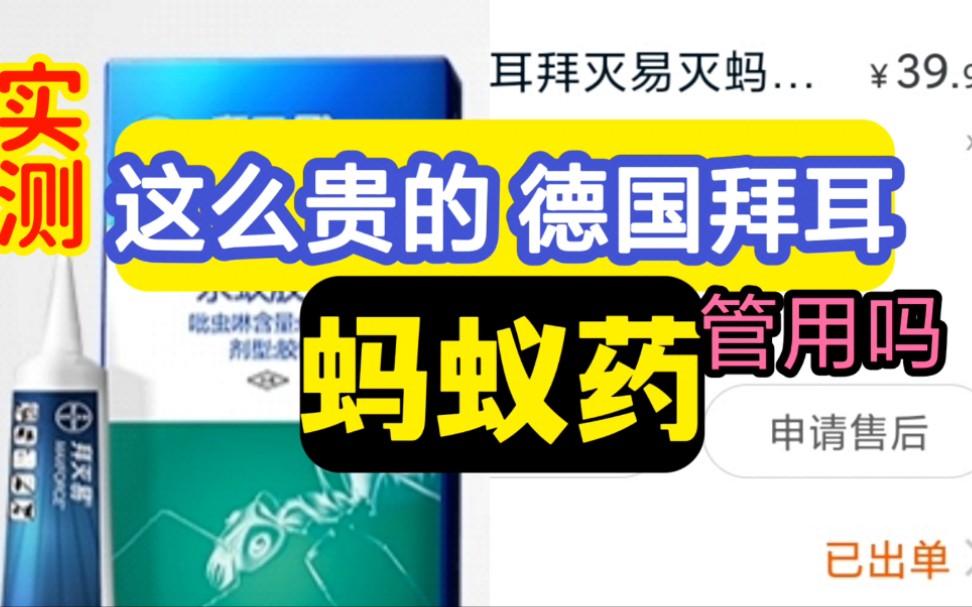 【实测】德国拜耳这么贵的蚂蚁药管用吗?拜灭易/拜灭士|除蚂蚁【生活评测】哔哩哔哩bilibili