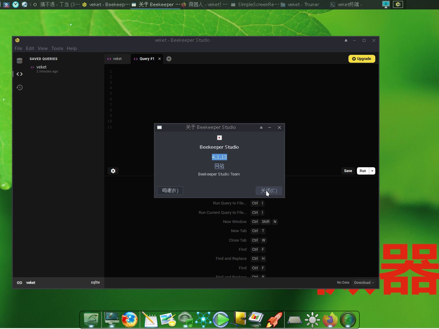 跨平台的开源sql客户端beekeeperstudio,支持windows,linux,国产操作