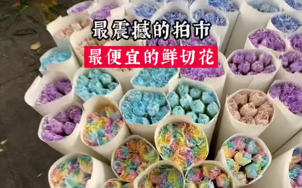 [图]斗南花市和想象中的差不多，但拍市却超出了我的想象，被震撼到了