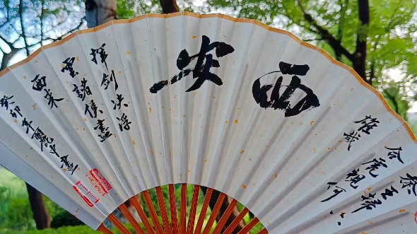 (扇子是自己写的)