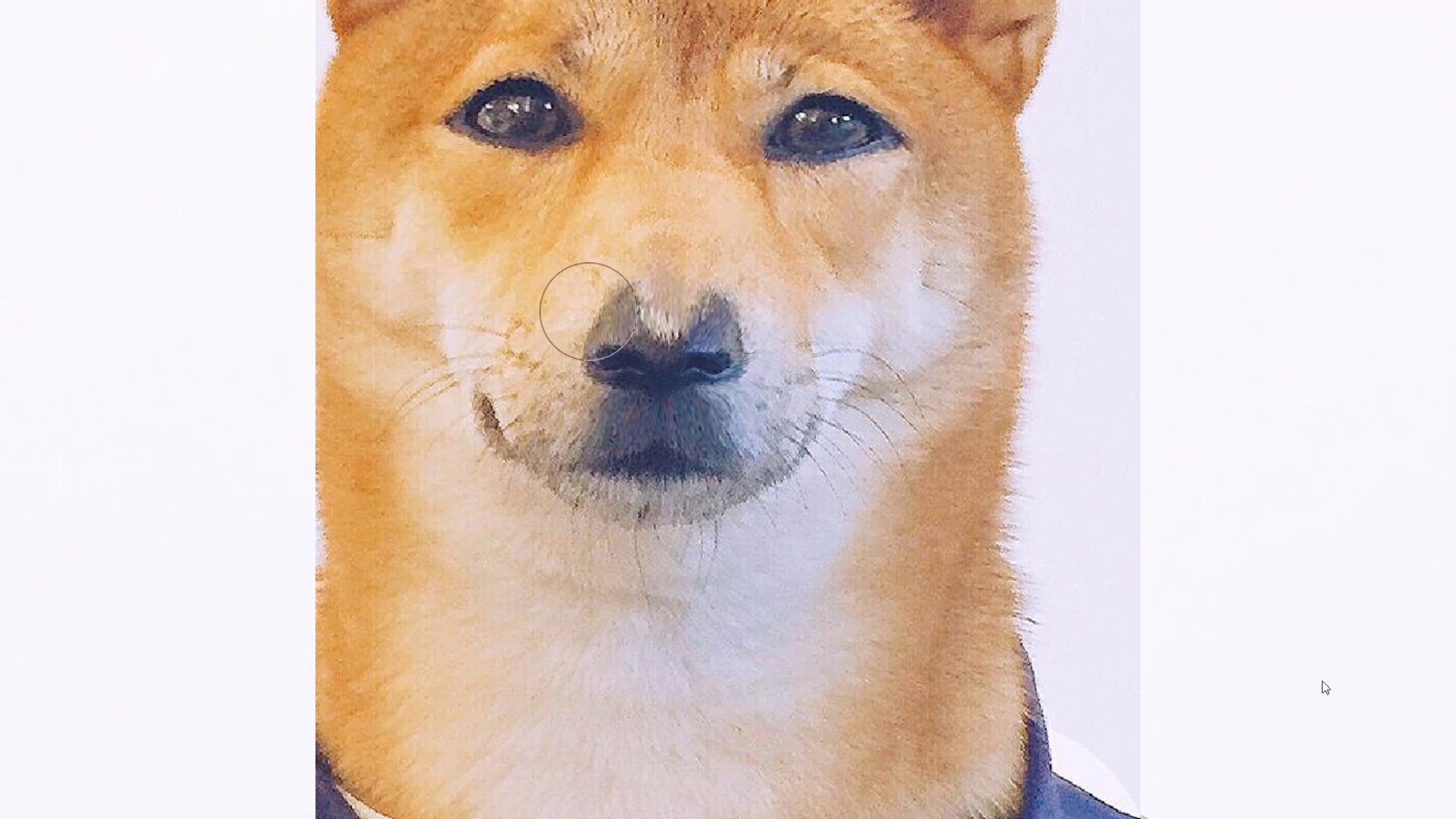 把狗p成人,@你身边的单身狗吧,把头像送给他_哔哩哔哩 (゜-゜)つロ