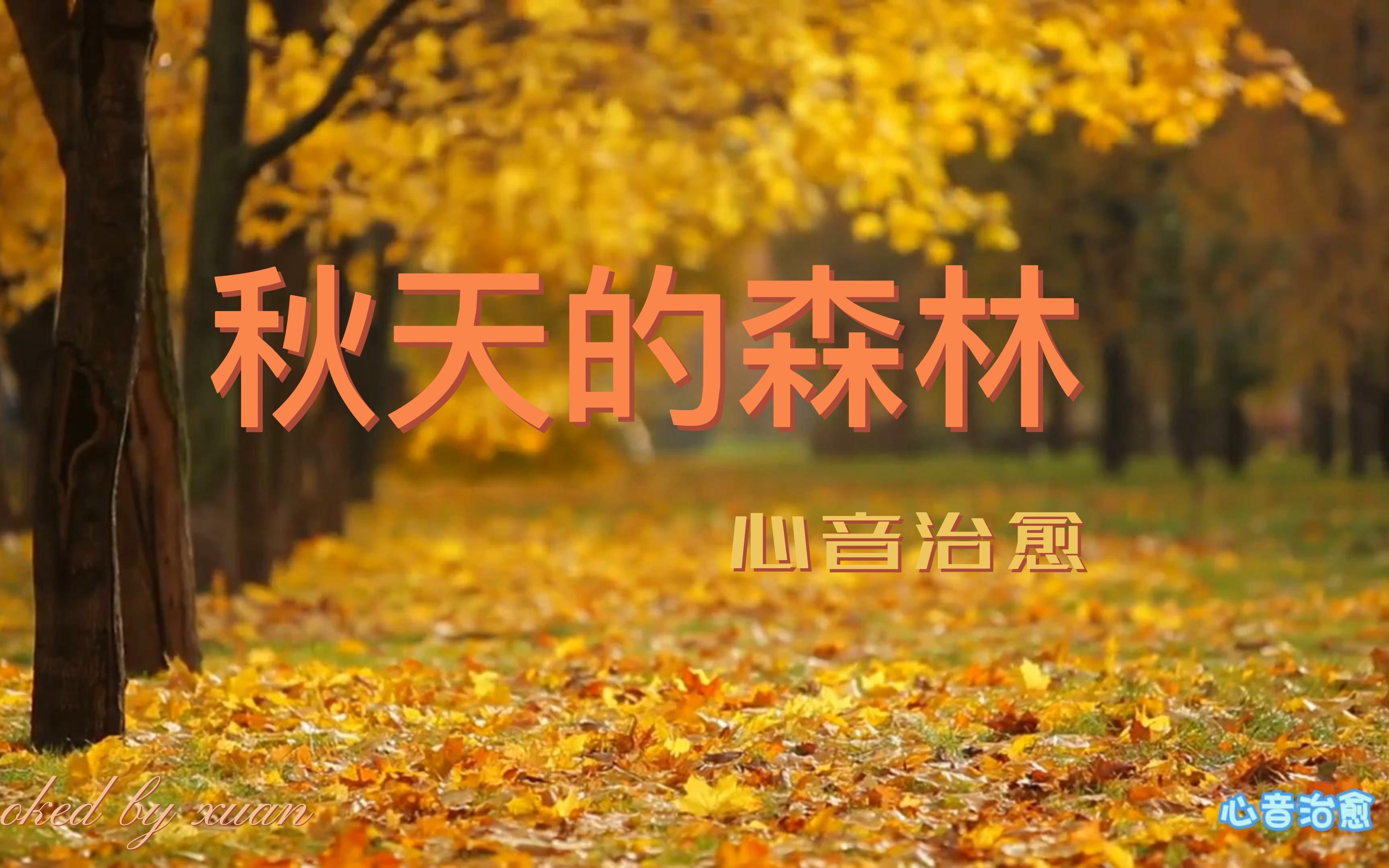 [图]4K-心音治愈-秋天的森林-这首钢琴曲帮助您放松学习和睡眠