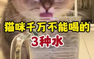 Télécharger la video: 猫咪千万不能喝的3种水，小心没了猫命！