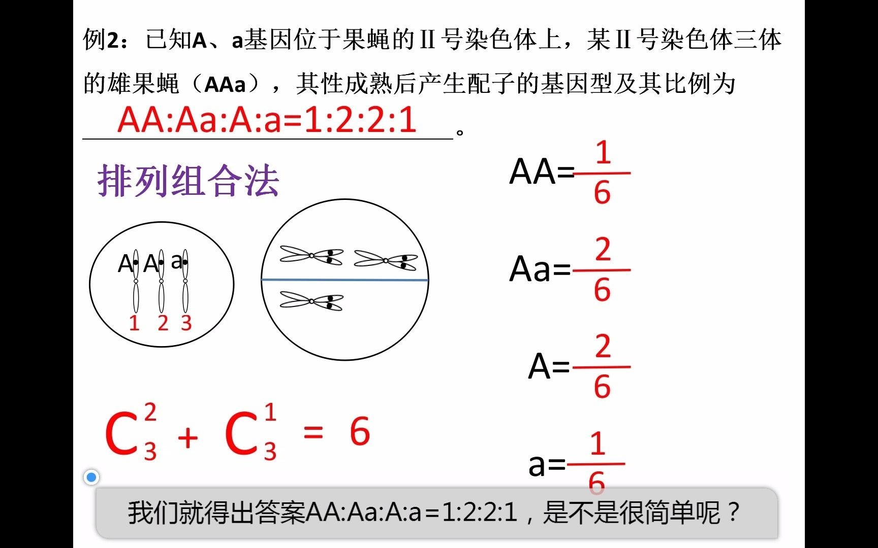 韦程勇佛山市南海区桂城街道文翰中学多倍体生物的配子类型计算