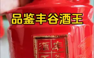 Télécharger la video: 品鉴酒界黑马丰谷酒王经典：一款让你忘记剑南春的佳酿！ #白酒 #丰谷酒王 #剑南春