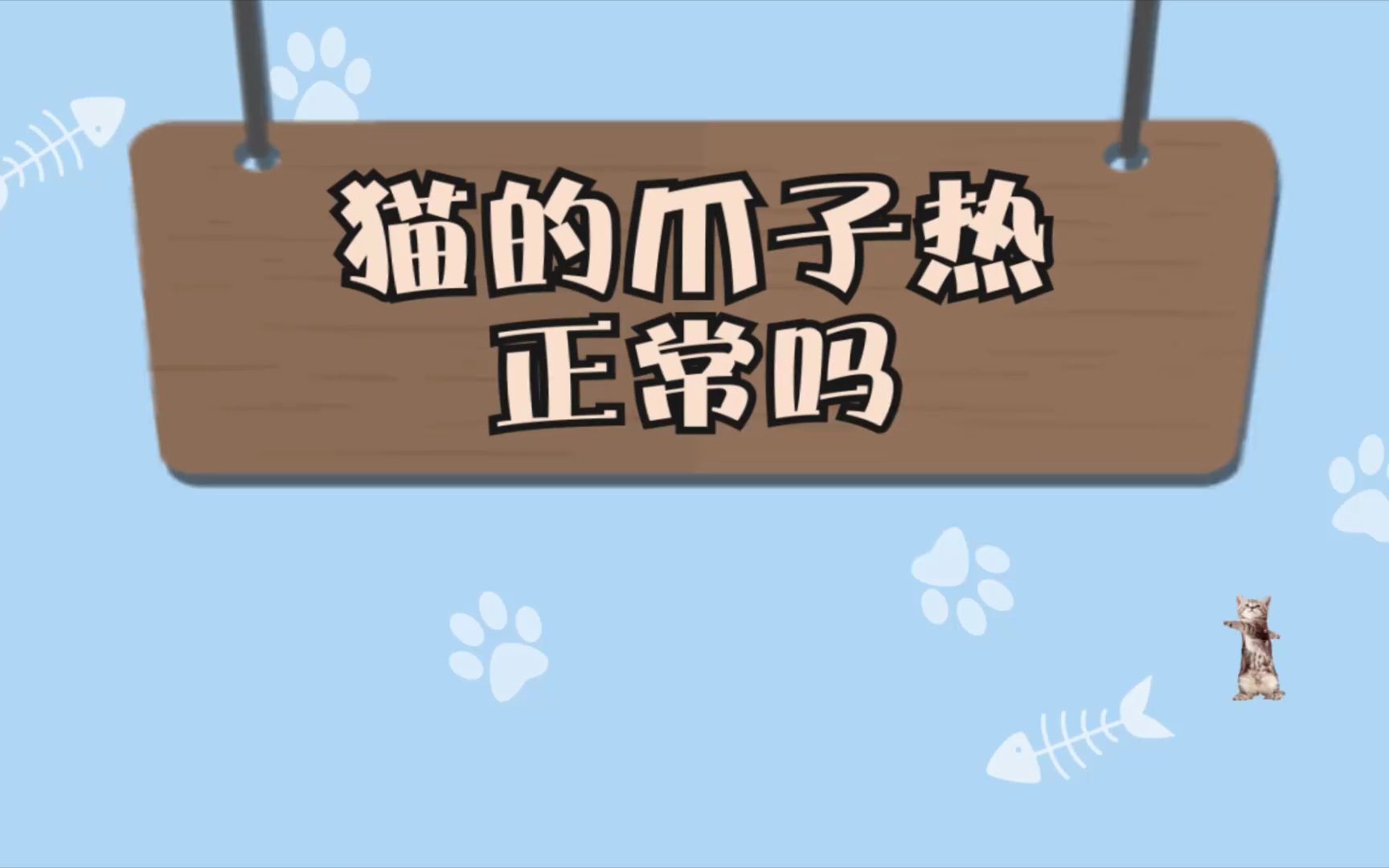 猫的爪子热正常吗哔哩哔哩bilibili