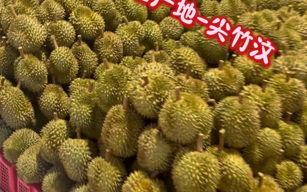 泰国-尖竹汶的榴莲自由